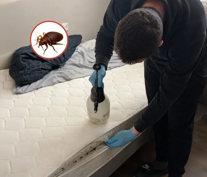 Technicien traitant un matelas contre les punaises de lit à Vaires-sur-Marne